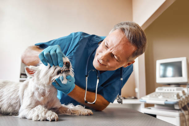Best Emergency Dental Surgery in Mcguire Af, NJ